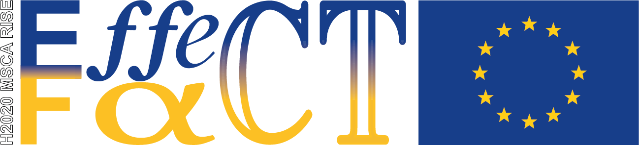 Effect Fact Logo